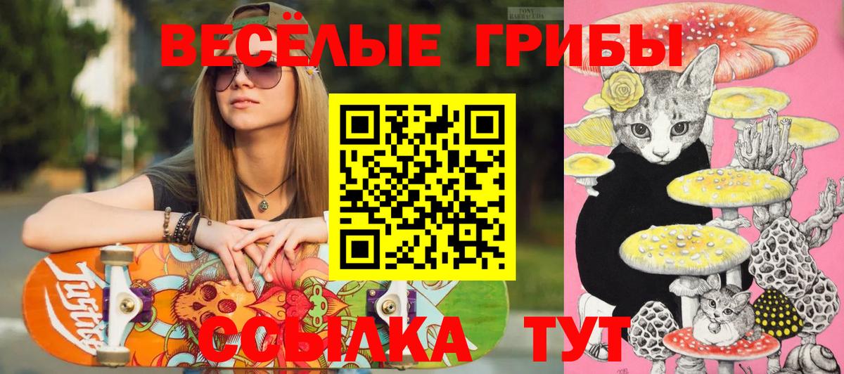 Галлюциногенные грибы Magic Shrooms  где купить наркоту  Лыткарино  Вход с VPN  Псилоцибиновые грибы Psilocybine cubensis 